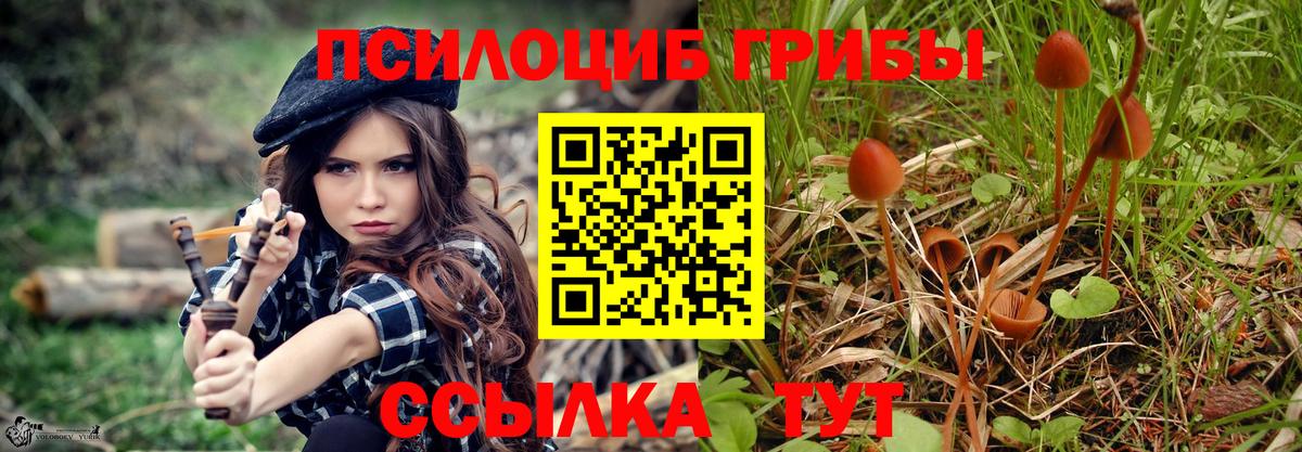 Псилоцибиновые грибы GOLDEN TEACHER Тихвин